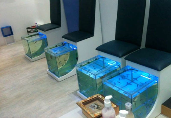 Pedicuras con peces: los riesgos que debes conocer