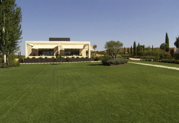 Tiempo de vendimia en Estancia Piedra 7 estancia_piedra_2.jpg