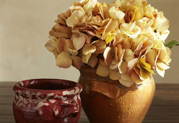 Naturaleza otoñal 11 Naturaleza otoñal