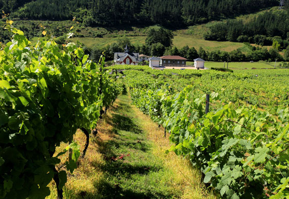 Festival gastronómico en Zalla