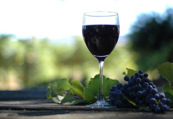 Fiestas de queso y de vino 7 Fiestas de queso y de vino