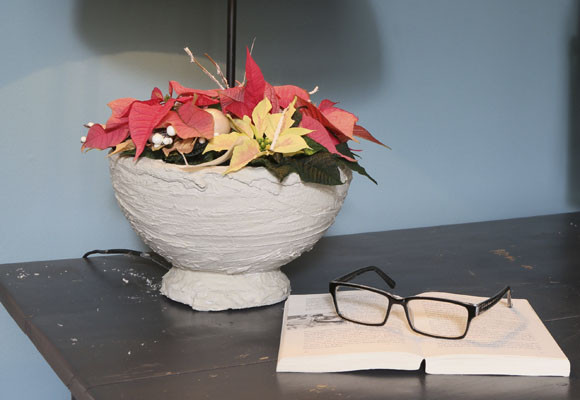 ¡Feliz día de la ponsettia! 10 ¡Feliz día de la ponsettia!