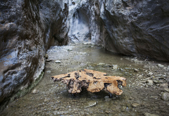 Living the Nature at Home 7 Living the Nature at Home