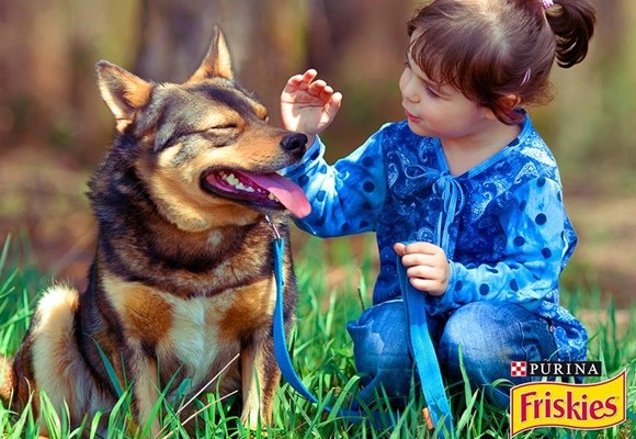 Cómo manipular la comida de las mascotas en casa
