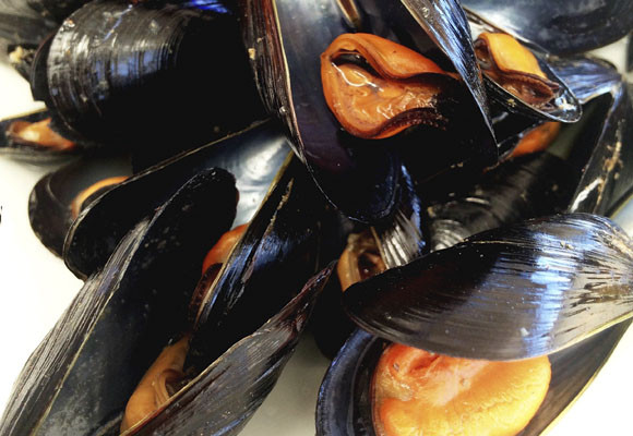 Arrocería L’Estibador 13 Arrocería L’Estibador