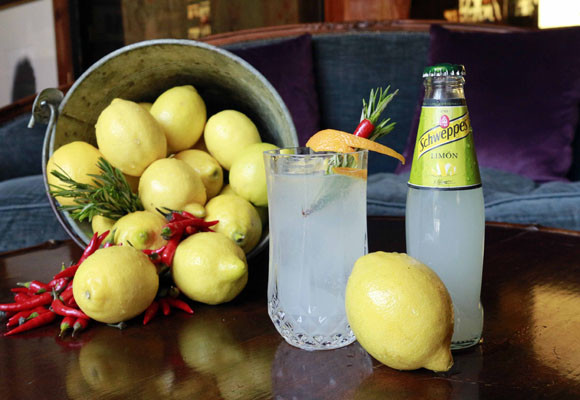 Este verano, añade limón a tus combinados