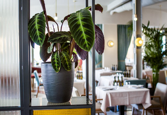 Atalanta Restaurante & Lounge Bar 