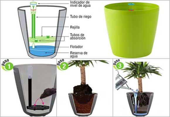 Hidrojardineras: ya es posible cuidar plantas sin “presentismo”…