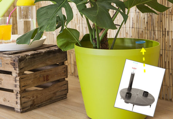 Hidrojardineras: ya es posible cuidar plantas sin “presentismo”…