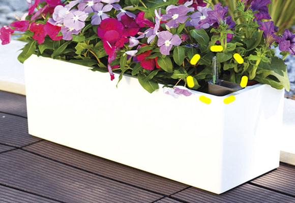 Hidrojardineras: ya es posible cuidar plantas sin “presentismo”…