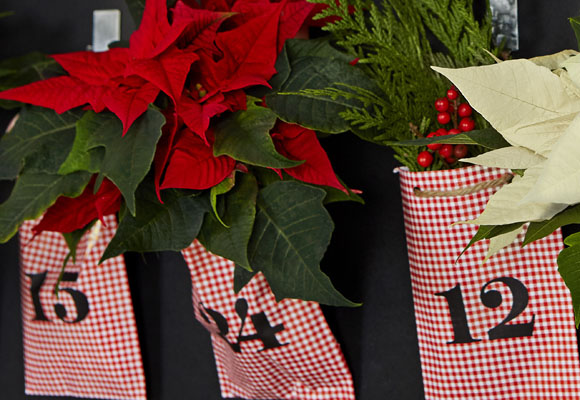 Una idea original para tu calendario de adviento