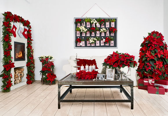 Una idea original para tu calendario de adviento