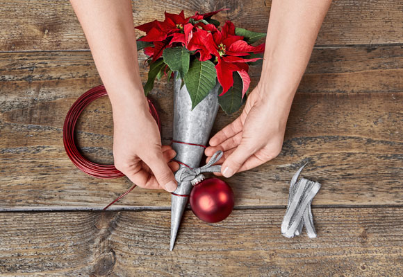 Decora tus sillas con mini-ponsettias 10 Decora tus sillas con mini-ponsettias