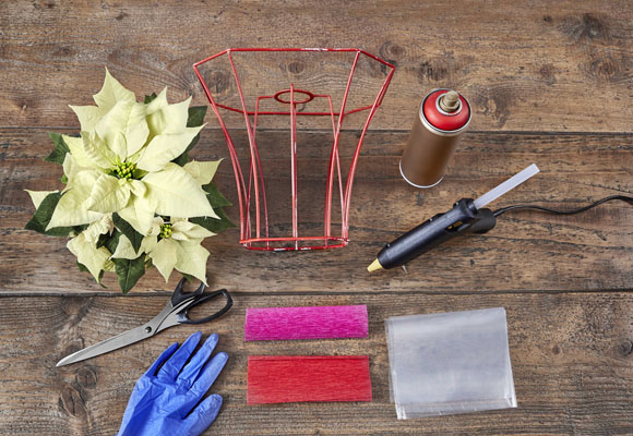 Un creativo expositor de ponsettias 6 Un creativo expositor de ponsettias