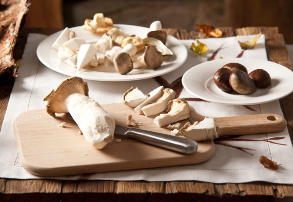 Las setas y los oidos