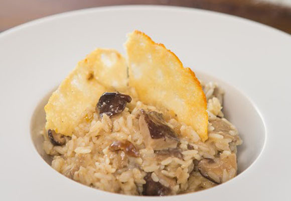 Tapioca. Chill & Cocina