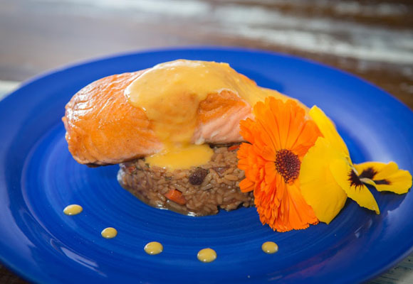 Tapioca. Chill & Cocina