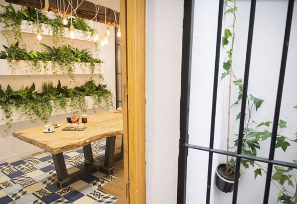 Café Levadura Madre