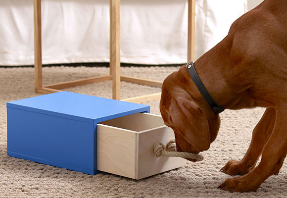 Cómo contruir una caseta para el perro 14 Un juguete para perros