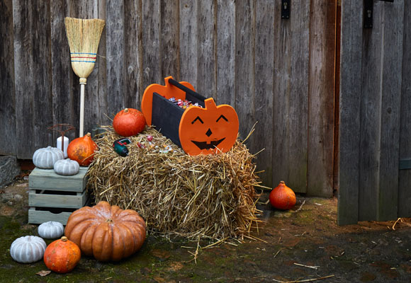 Una original cesta de calabazas