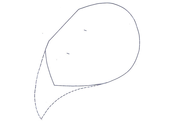 Unas alas para tu disfraz