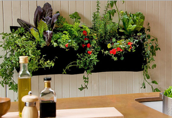 Cualquier pequeño espacio puede ser un jardín 10 Cualquier pequeño espacio puede ser un jardín