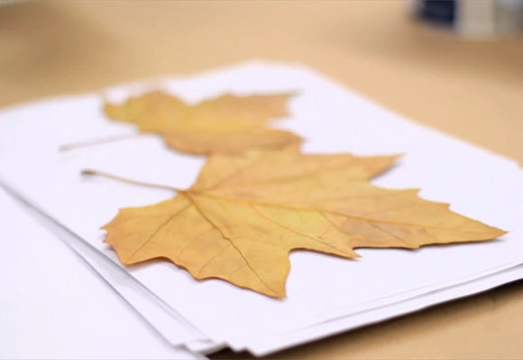 Una guirnalda de hojas de otoño